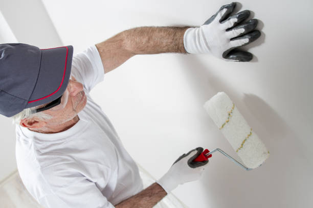Mold Remediation for Rental Properties in Chesaning, MI