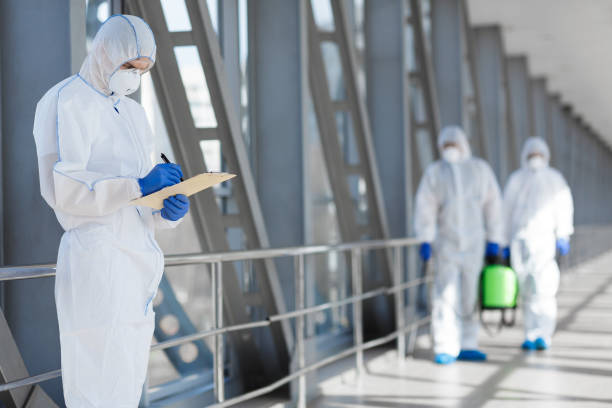 Best Industrial Mold Remediation  in Chesaning, MI