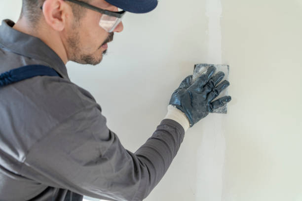 Best Commercial Mold Inspection  in Chesaning, MI
