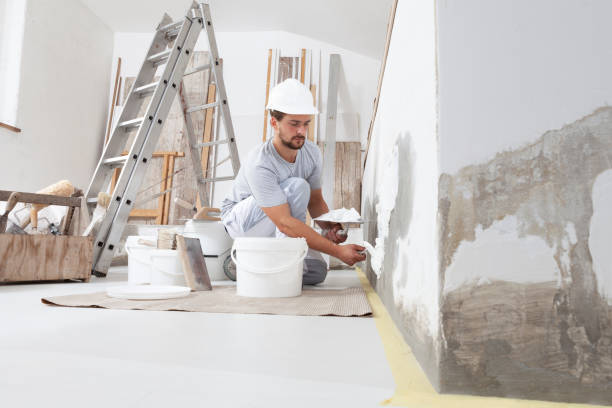 Dehumidification Services in Chesaning, MI