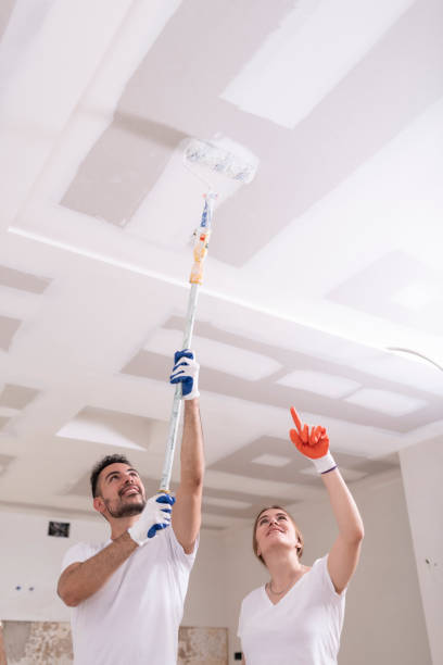Best Dehumidification Services  in Chesaning, MI