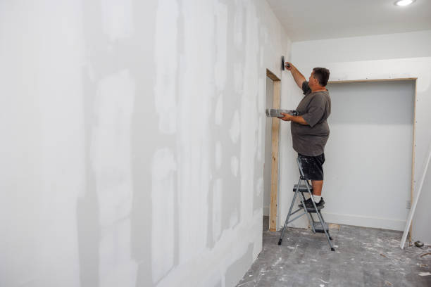 Mold Remediation for Rental Properties in Chesaning, MI