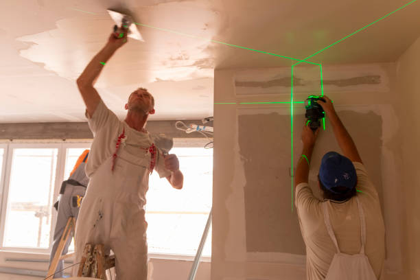 Best Dehumidification Services  in Chesaning, MI