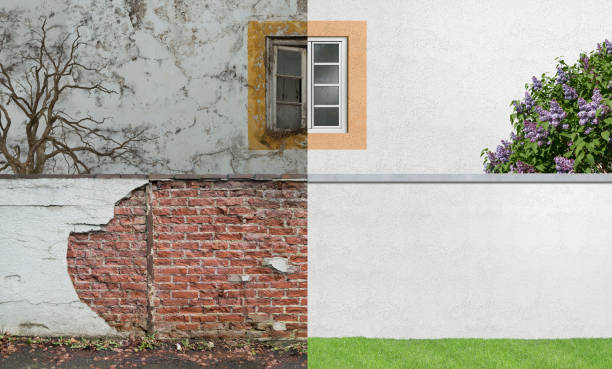 Mold Odor Removal Services in Chesaning, MI