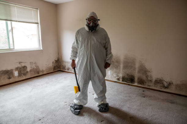 Best Post-Remediation Verification Testing  in Chesaning, MI
