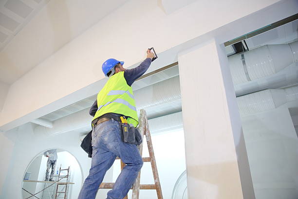Best Crawl Space Mold Remediation  in Chesaning, MI