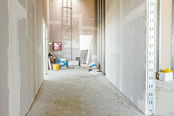 Best Biohazard Mold Removal  in Chesaning, MI