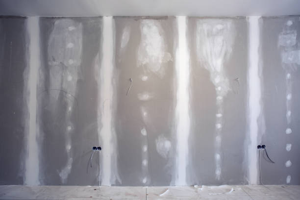Best Black Mold Removal  in Chesaning, MI